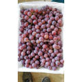 Red Seedless grapes nutrition